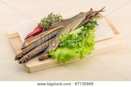 Lamprey