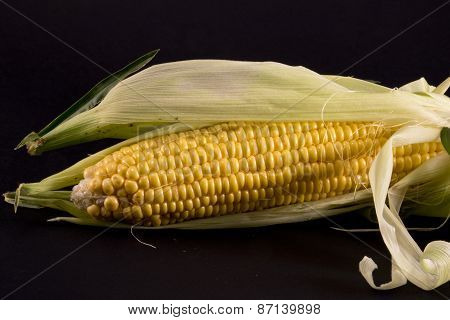 Cobs