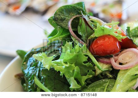 Insalata fresca
