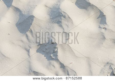Sand Beach Texture Background
