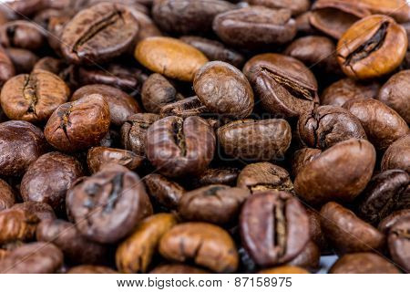 Coffee Beans Close-up