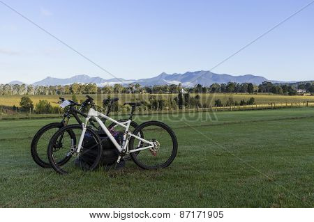 Healthy Holiday Activity