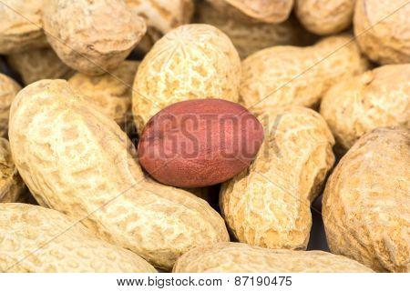 ?eanuts