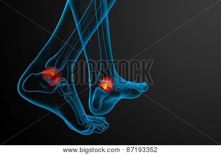 3D Render Illustration Of The Talus Bone