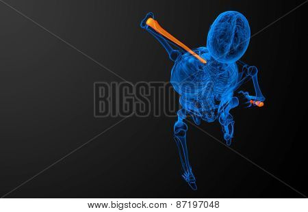 3D Render Medical Illustration Of The Ulna Bone