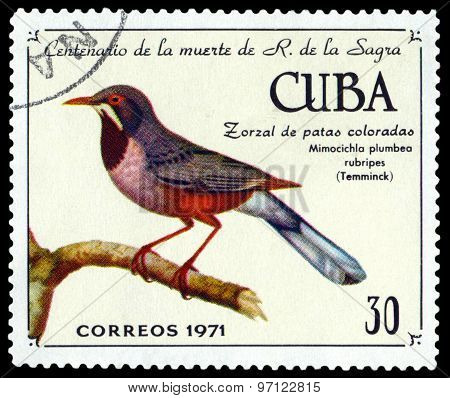 Vintage  Postage Stamp.  Red-legged Thrush.