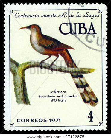 Vintage  Postage Stamp. Saurathera Merlin.