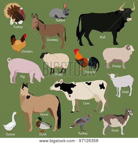 Set of farm animals icons. Flat style design.