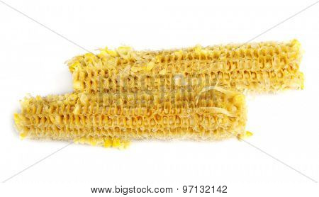 Fully eaten corn on the cob isolated
