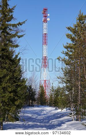 Telecommunications, Tower Communication Forest