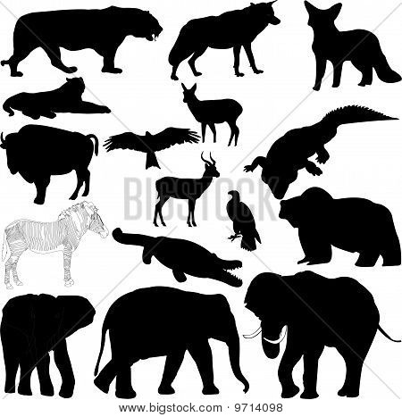 Illustrazione vettoriale in sagoma di vari animali selvatici