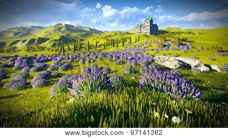 Lavender fields 