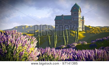 Lavender fields 