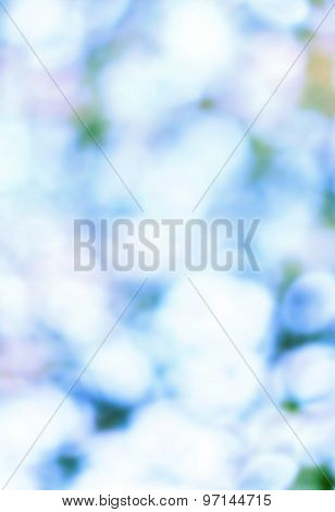 Nature Soft Abstract Background Blurred Magic Lights For Your Design. Blie White Color