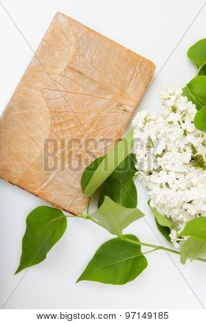 jotter on the surface of a white lilac flowers. background