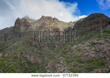 Tenerife