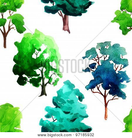 My Colors