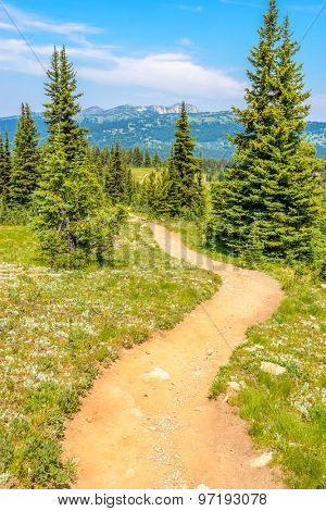Beautiful Mountain Trail. Blackwall Peak Trail at Manning Park in British Columbia. Canada.