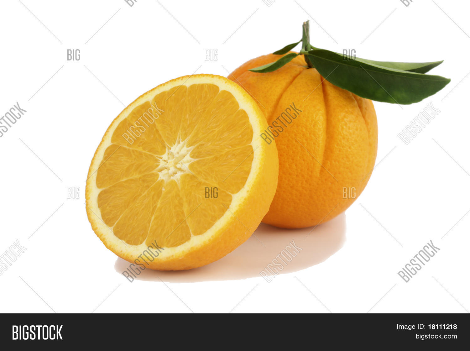 Image Preview