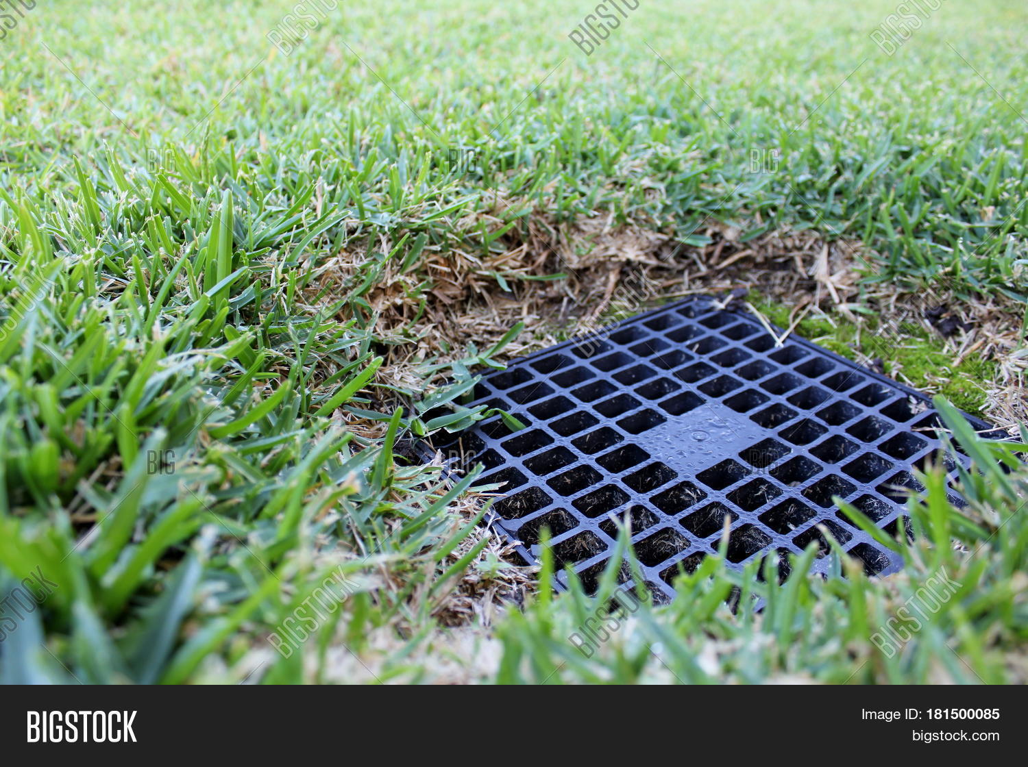 Close Backyard Image Photo Free Trial Bigstock