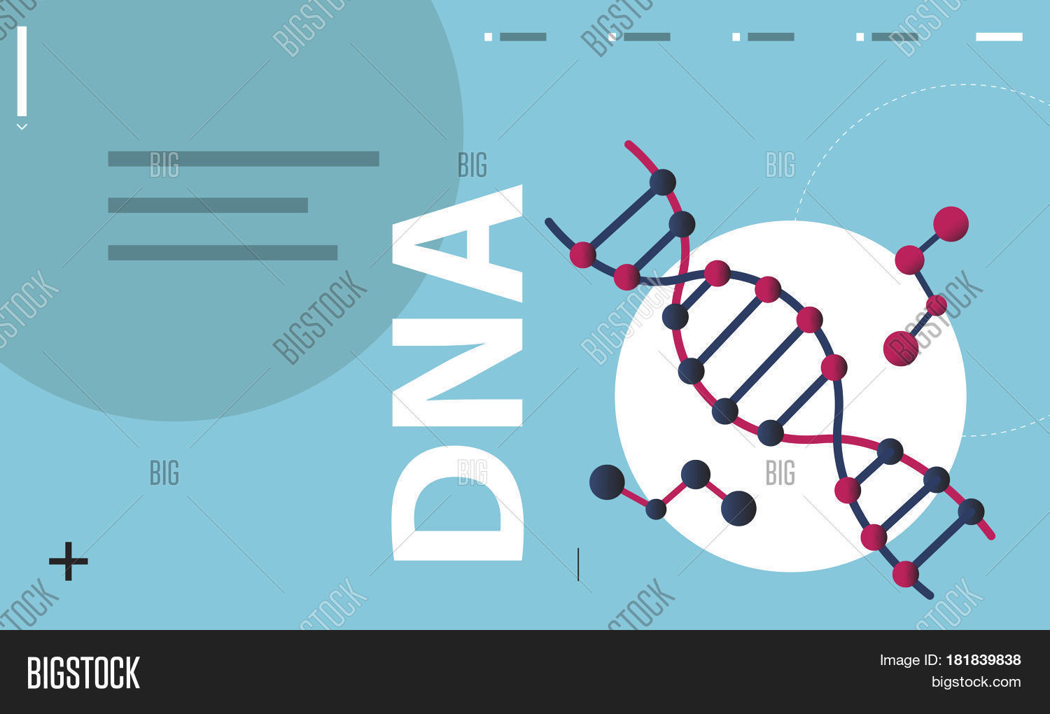 Dna Strand Image & Photo (Free Trial) Bigstock
