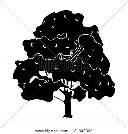 Canadian maple. Canada single icon in black style vector symbol stock illustration .