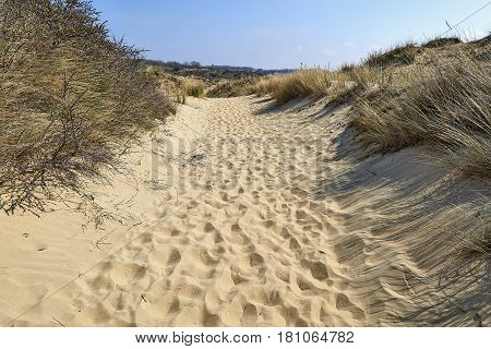 Footprints On The Sand Dunes