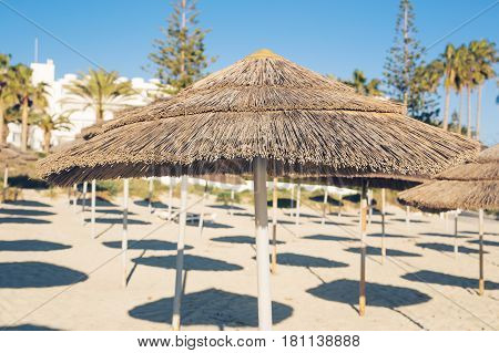 Decorative umbrellas made of palm branches on the background of the beach.