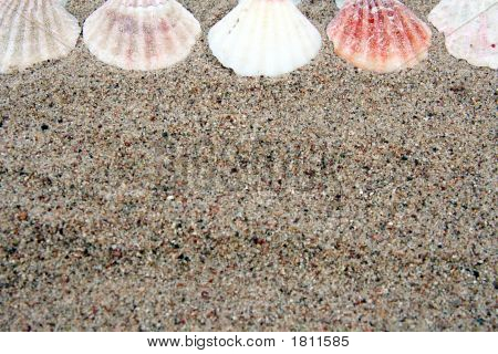 Shell