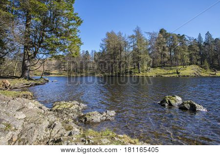 The picturesque scenery of Tarn Hows in the Lake District in Cumbria UK.