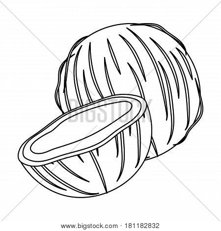 Coconat.Different kinds of nuts single icon in outline style vector symbol stock web illustration.