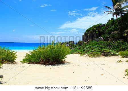 Empty beach at the ocean on the tropical island