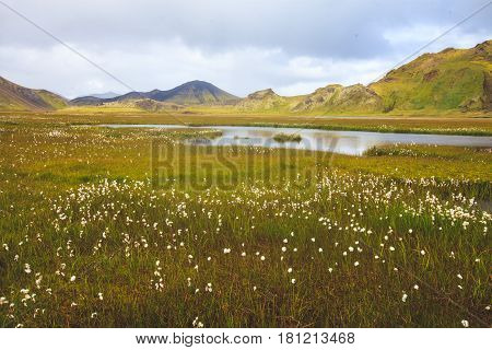 Famous icelandic popular tourist destination and hiking hub in Iceland's highlands landmannalaugar colorful mountains landscape view, South Iceland