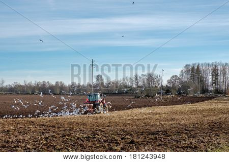 HORNBORGA, SWEDEN - APRIL 7, 2017: Rural Sweden near Lake Hornborga in Vastergotland during early spring.  9000-year-old remnants of stone age civilizations have been found in this area.