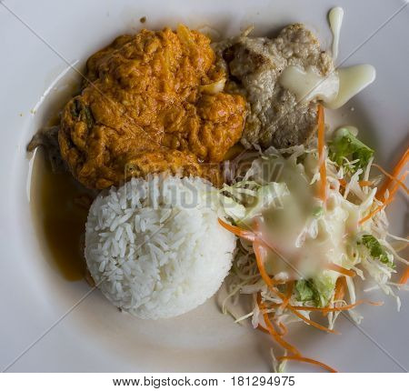 curry fried fork with rice and slad in one dish