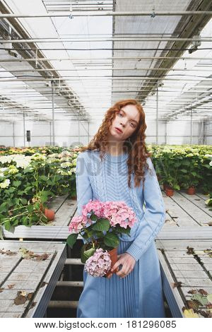 Pretty girl standing between tables holding in hands pink flower in orangery