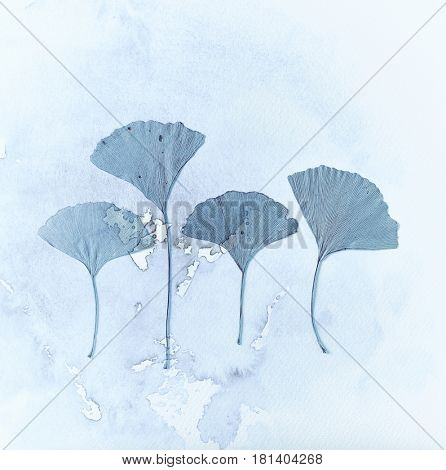 Gingko leaves with watercolor texture