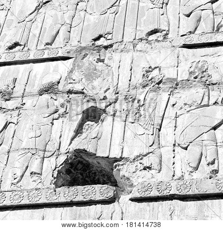 In Iran          Persepolis