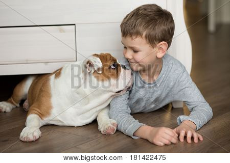 Handsome boy together with english bulldog puppy at home