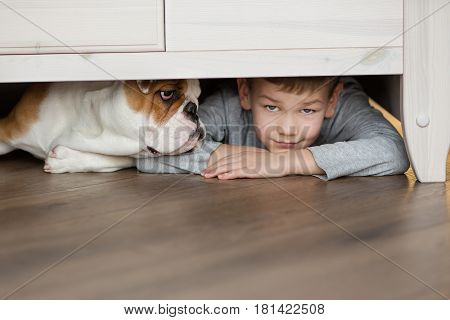 Handsome boy together with english bulldog puppy at home