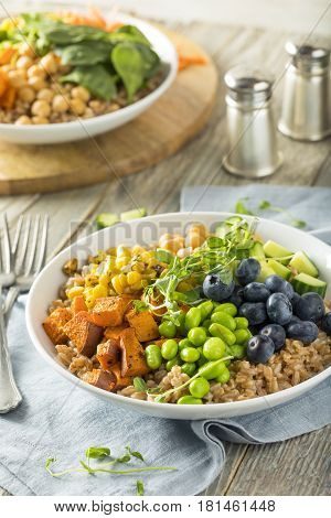 Raw Organic Healthy Buddha Bowl