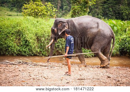 Bathing Elefant Mahout, Khao Sok Sanctuary, Thailand