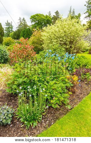 Beautiful green garden landscaping in the summer