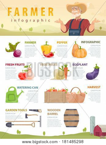 Farm and agriculture infographic concept with vegetables fruits manual labor tools wooden crate and barrel vector illustration
