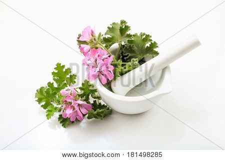Citronella In A Mortar On White Background