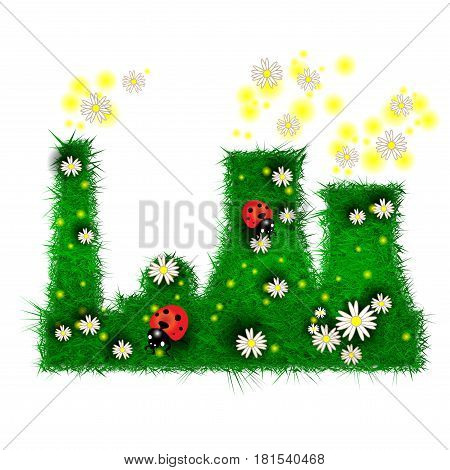Green herb factory with ladybug and daisies
