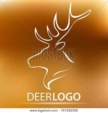 Vector Lion head logo for your design. Stock vector illustration