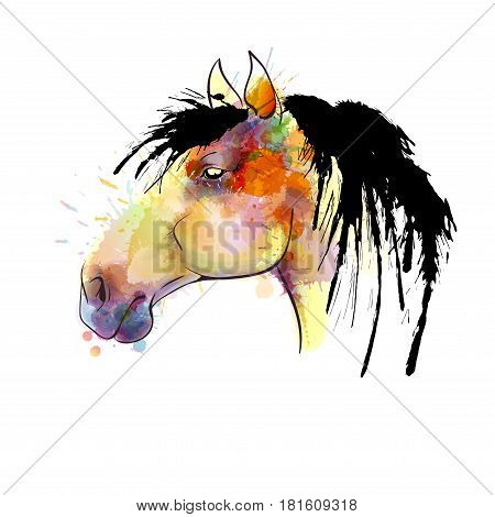 Multi colored horse head from watercolor spray
