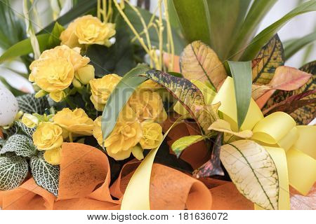 yellow begonia flower in bouquet for present