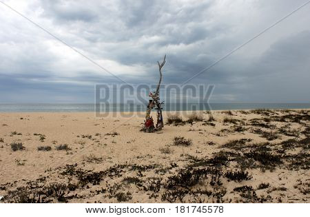 Portugal. Ilha deserta. Sand with branch and sea on blue sky background horizontal view. South point of Portugal
